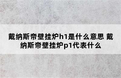 戴纳斯帝壁挂炉h1是什么意思 戴纳斯帝壁挂炉p1代表什么